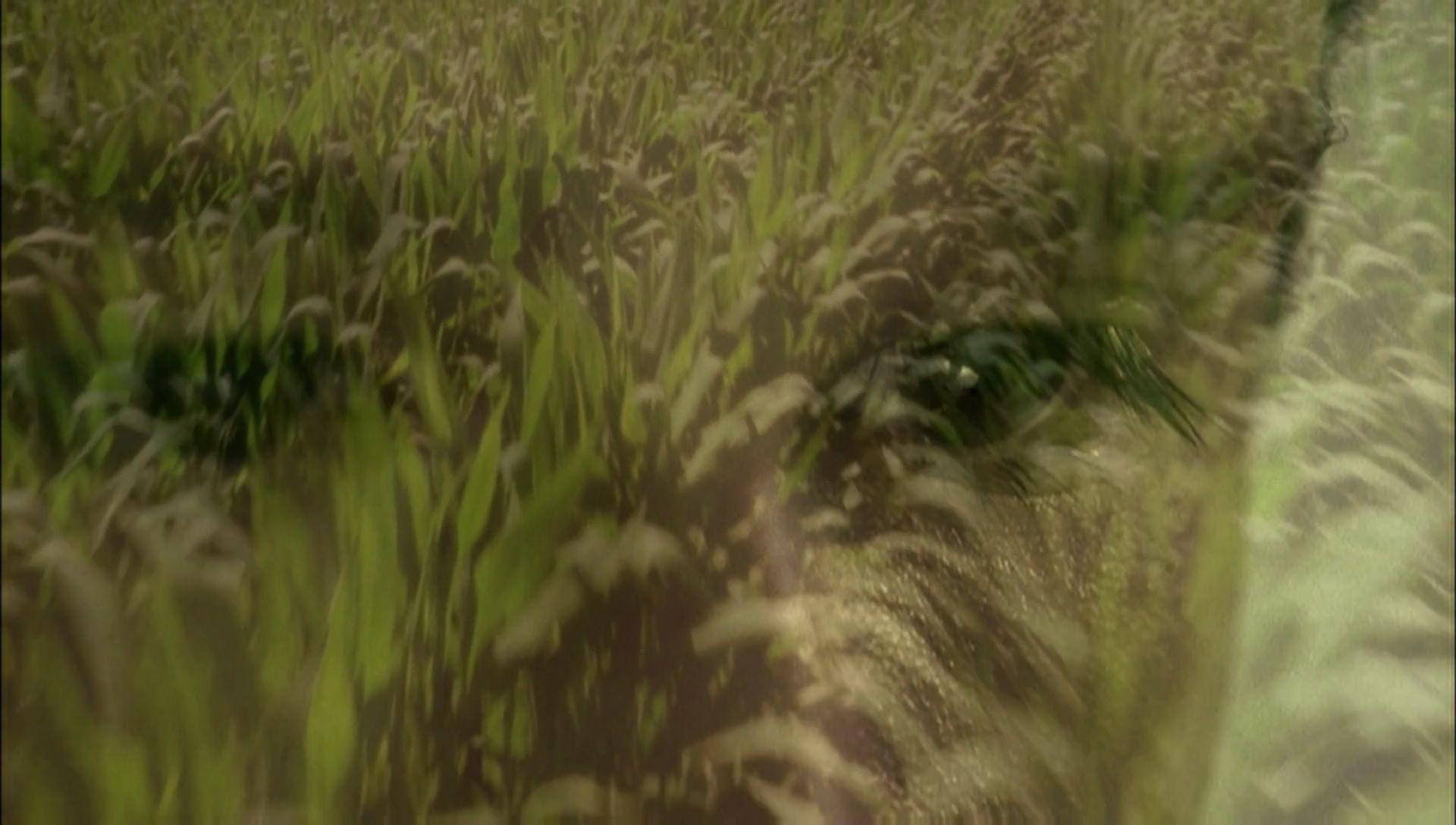 ariane179254_Enterprise_1x01-1x02_BrokenBow_0054.jpg