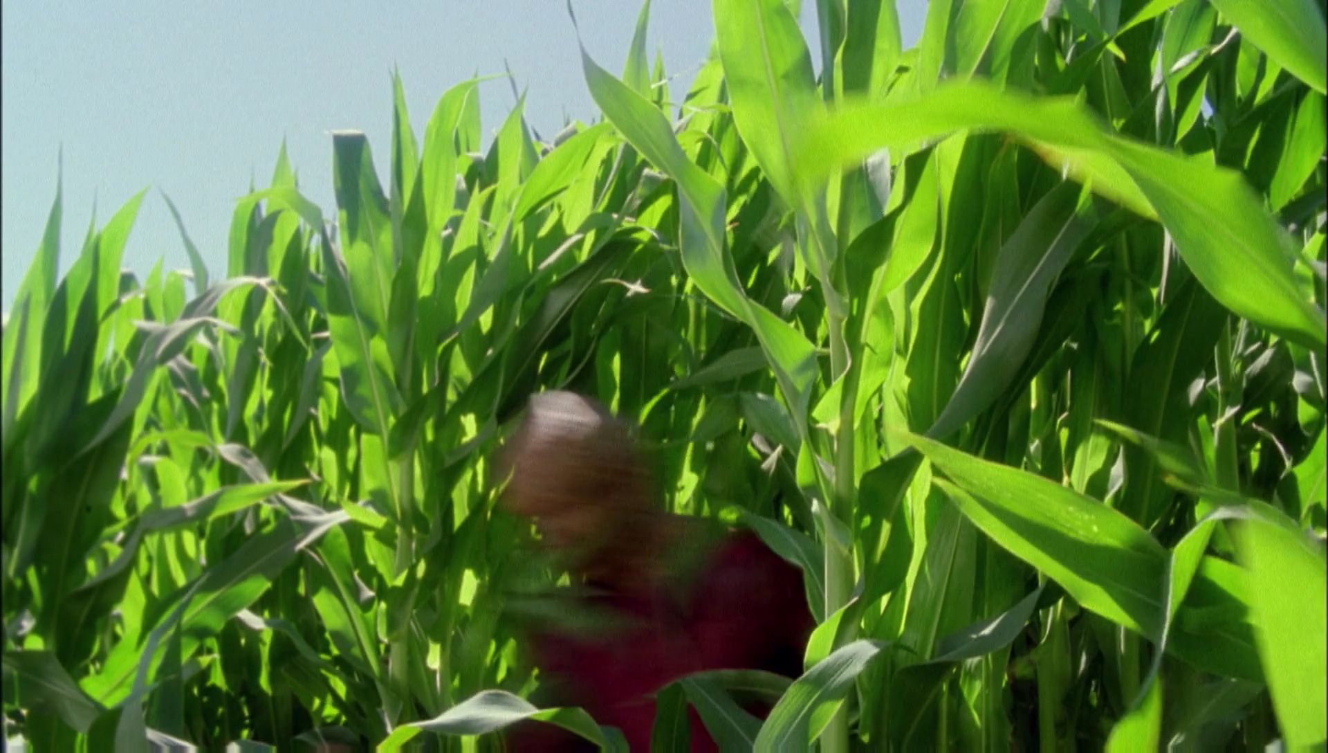 ariane179254_Enterprise_1x01-1x02_BrokenBow_0115.jpg