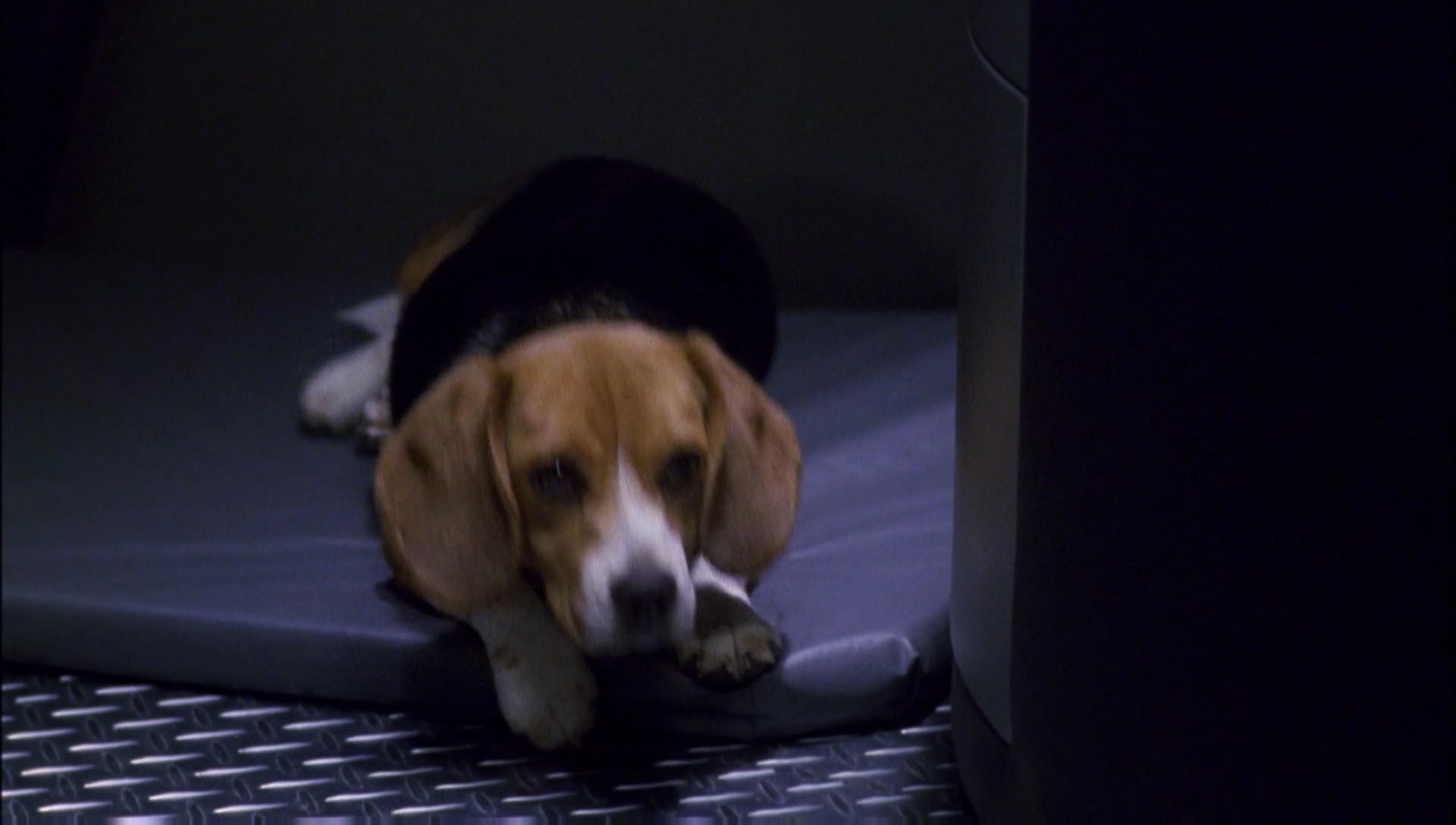 ariane179254_Enterprise_1x01-1x02_BrokenBow_1090.jpg