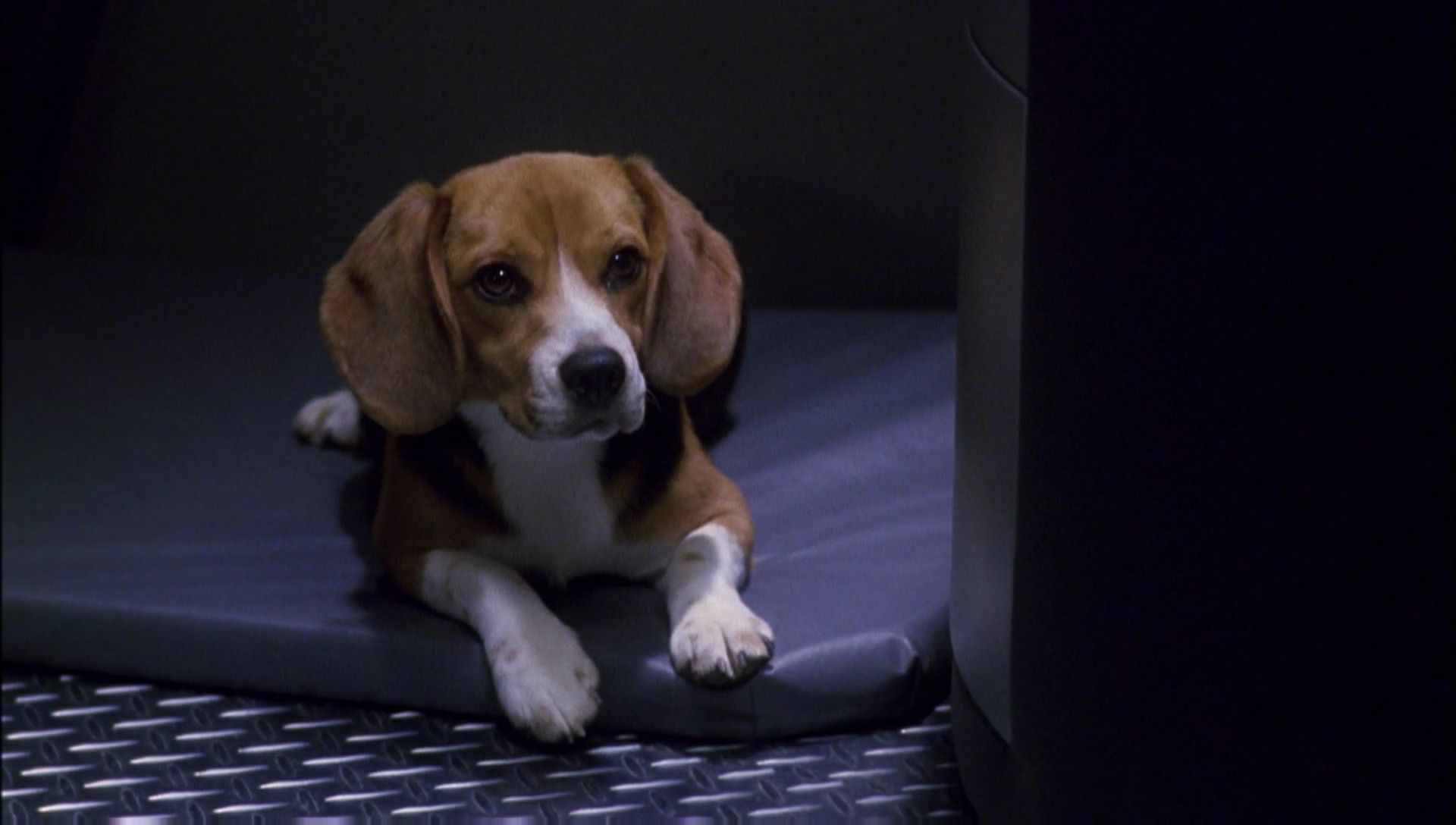 ariane179254_Enterprise_1x01-1x02_BrokenBow_1091.jpg