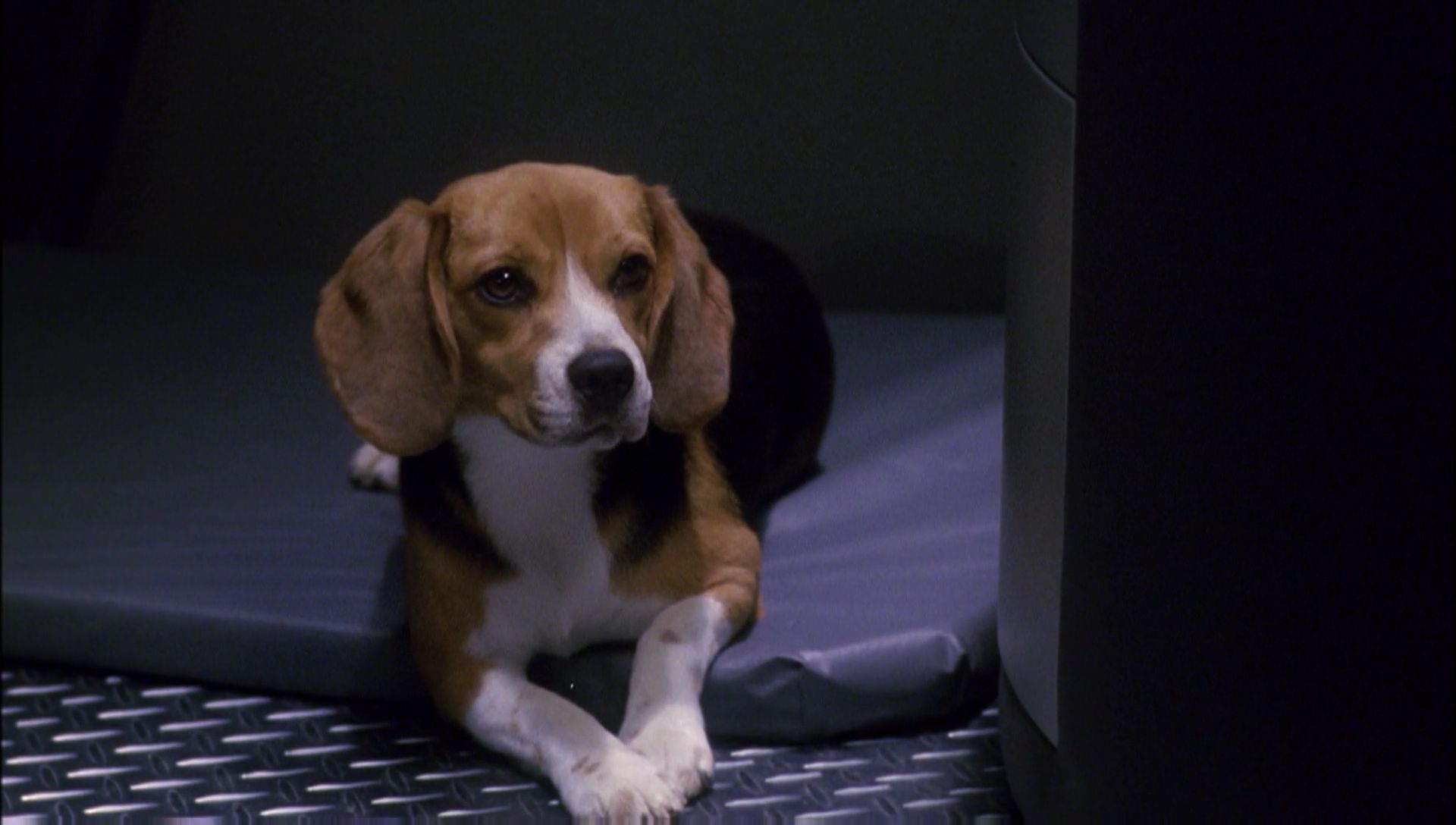ariane179254_Enterprise_1x01-1x02_BrokenBow_1112.jpg