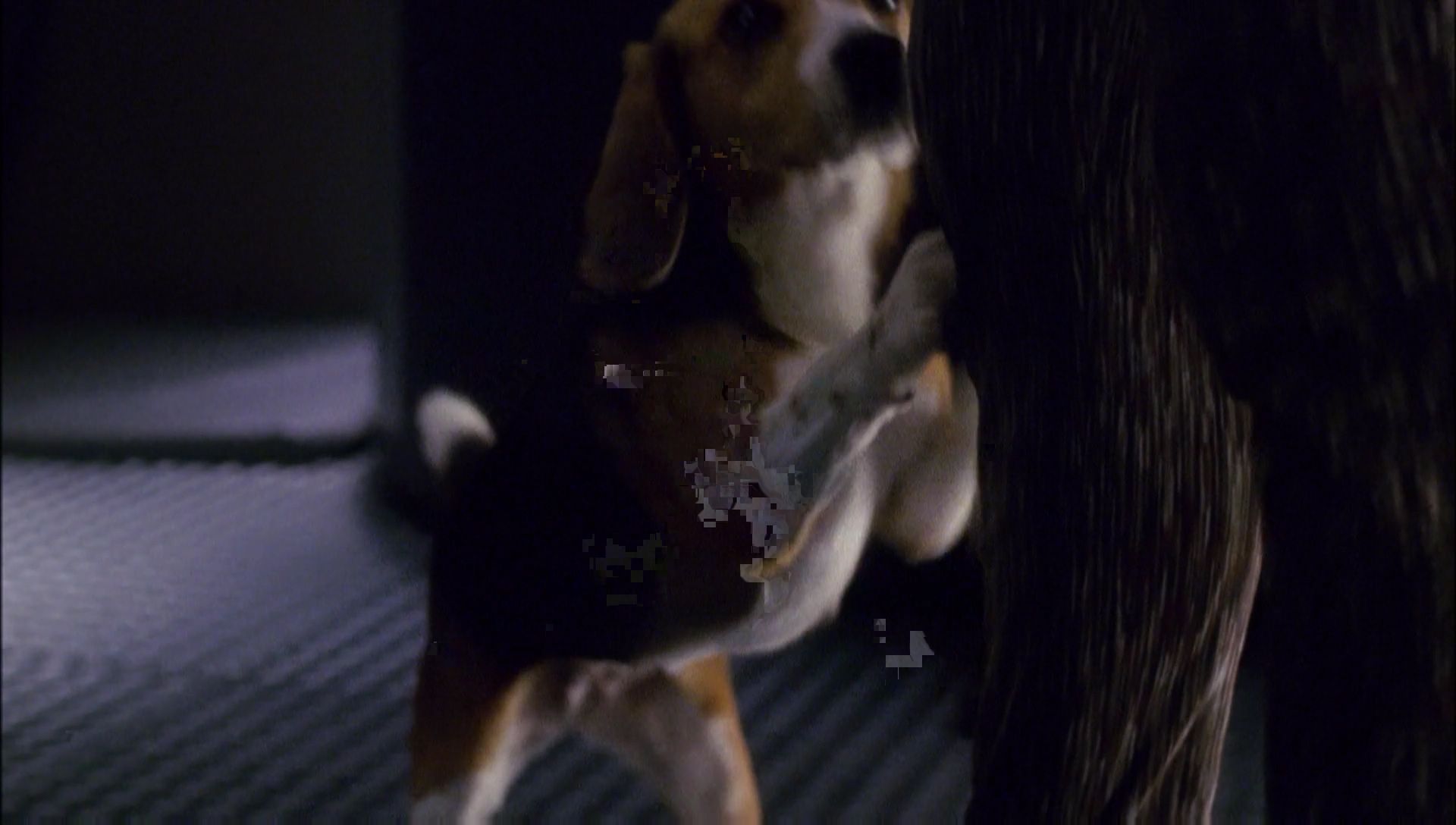 ariane179254_Enterprise_1x01-1x02_BrokenBow_1196.jpg