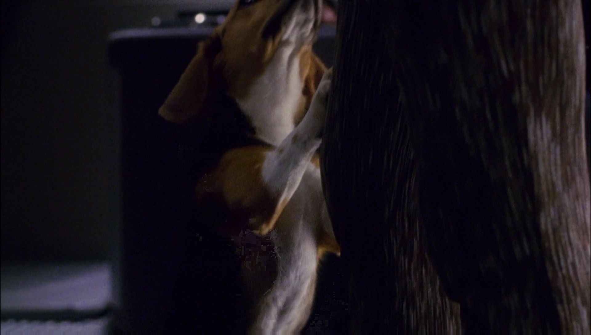ariane179254_Enterprise_1x01-1x02_BrokenBow_1197.jpg