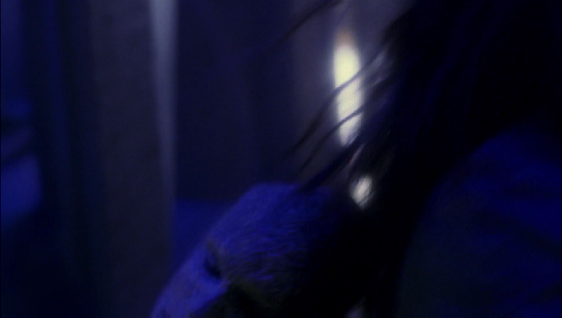 ariane179254_Enterprise_1x01-1x02_BrokenBow_5086.jpg
