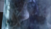 Filename=ariane179254_Enterprise_1x01-1x02_BrokenBow_1471.jpg
Filesize=75KiB
Dimensions=1920x1088
Date added=Oct 09, 2014 ariane179254_Enterprise_1x01-1x02_BrokenBow_1471.jpg