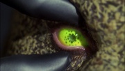 ariane179254_Enterprise_1x01-1x02_BrokenBow_2430.jpg