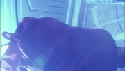 Filename=ariane179254_Enterprise_1x01-1x02_BrokenBow_5693.jpg
Filesize=175KiB
Dimensions=1920x1088
Date added=Oct 09, 2014 ariane179254_Enterprise_1x01-1x02_BrokenBow_5693.jpg