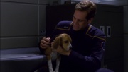 Filename=ariane179254_Enterprise_1x01-1x02_BrokenBow_5930.jpg
Filesize=97KiB
Dimensions=1920x1088
Date added=Oct 09, 2014 ariane179254_Enterprise_1x01-1x02_BrokenBow_5930.jpg