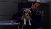 Filename=ariane179254_Enterprise_1x01-1x02_BrokenBow_5932.jpg
Filesize=90KiB
Dimensions=1920x1088
Date added=Oct 09, 2014 ariane179254_Enterprise_1x01-1x02_BrokenBow_5932.jpg