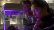 extant_StarTrek_ENT_1x03-FightOrFlight_0033.jpg