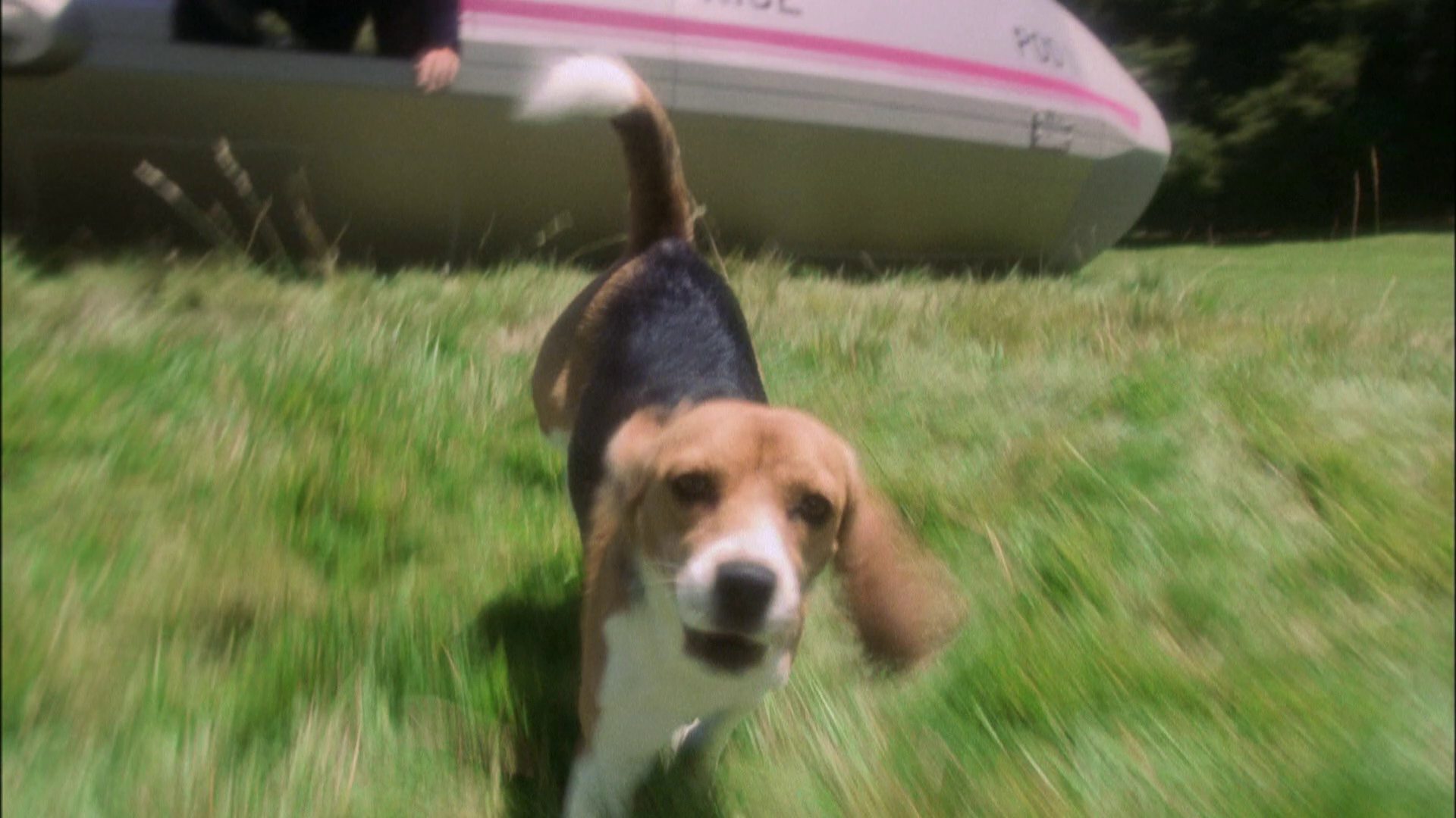 extant_StarTrek_ENT_1x04-StrangeNewWorld_0469.jpg