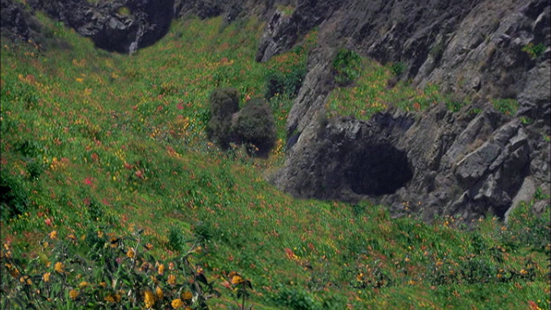 extant_StarTrek_ENT_1x04-StrangeNewWorld_3469.jpg