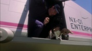 Filename=extant_StarTrek_ENT_1x04-StrangeNewWorld_0467.jpg
Filesize=154KiB
Dimensions=1920x1080
Date added=May 17, 2020 extant_StarTrek_ENT_1x04-StrangeNewWorld_0467.jpg