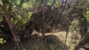Filename=extant_StarTrek_ENT_1x04-StrangeNewWorld_0604.jpg
Filesize=322KiB
Dimensions=1920x1080
Date added=May 17, 2020 extant_StarTrek_ENT_1x04-StrangeNewWorld_0604.jpg