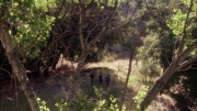 Filename=extant_StarTrek_ENT_1x04-StrangeNewWorld_0606.jpg
Filesize=336KiB
Dimensions=1920x1080
Date added=May 17, 2020 extant_StarTrek_ENT_1x04-StrangeNewWorld_0606.jpg