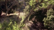 Filename=extant_StarTrek_ENT_1x04-StrangeNewWorld_0612.jpg
Filesize=370KiB
Dimensions=1920x1080
Date added=May 17, 2020 extant_StarTrek_ENT_1x04-StrangeNewWorld_0612.jpg
