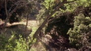 Filename=extant_StarTrek_ENT_1x04-StrangeNewWorld_0614.jpg
Filesize=388KiB
Dimensions=1920x1080
Date added=May 17, 2020 extant_StarTrek_ENT_1x04-StrangeNewWorld_0614.jpg