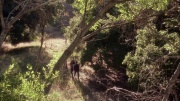 Filename=extant_StarTrek_ENT_1x04-StrangeNewWorld_0616.jpg
Filesize=382KiB
Dimensions=1920x1080
Date added=May 17, 2020 extant_StarTrek_ENT_1x04-StrangeNewWorld_0616.jpg