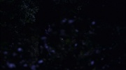 Filename=extant_StarTrek_ENT_1x04-StrangeNewWorld_1285.jpg
Filesize=86KiB
Dimensions=1920x1080
Date added=May 17, 2020 extant_StarTrek_ENT_1x04-StrangeNewWorld_1285.jpg