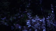 Filename=extant_StarTrek_ENT_1x04-StrangeNewWorld_1291.jpg
Filesize=128KiB
Dimensions=1920x1080
Date added=May 17, 2020 extant_StarTrek_ENT_1x04-StrangeNewWorld_1291.jpg
