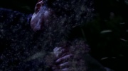 extant_StarTrek_ENT_1x04-StrangeNewWorld_2148.jpg