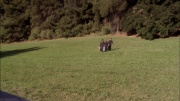 extant_StarTrek_ENT_1x04-StrangeNewWorld_3671.jpg