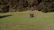 extant_StarTrek_ENT_1x04-StrangeNewWorld_3673.jpg