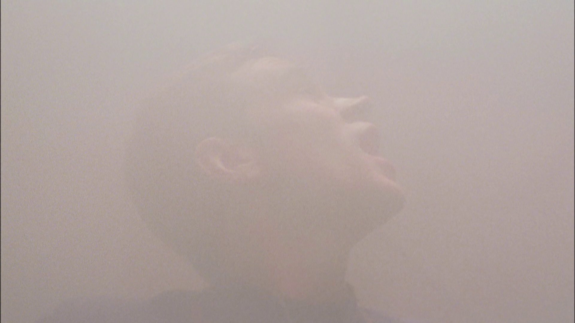 extant_StarTrek_ENT_1x05-Unexpected_0794.jpg