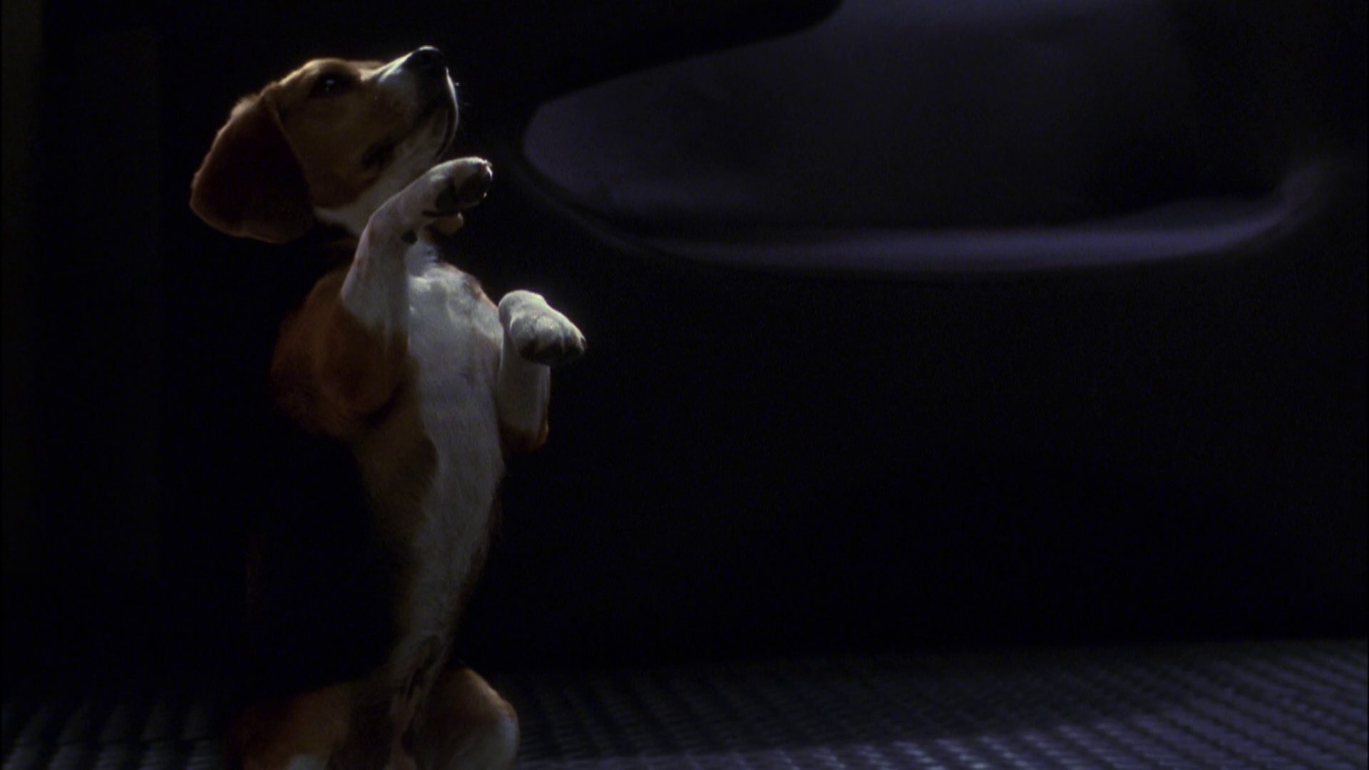 extant_StarTrek_ENT_1x05-Unexpected_0859.jpg