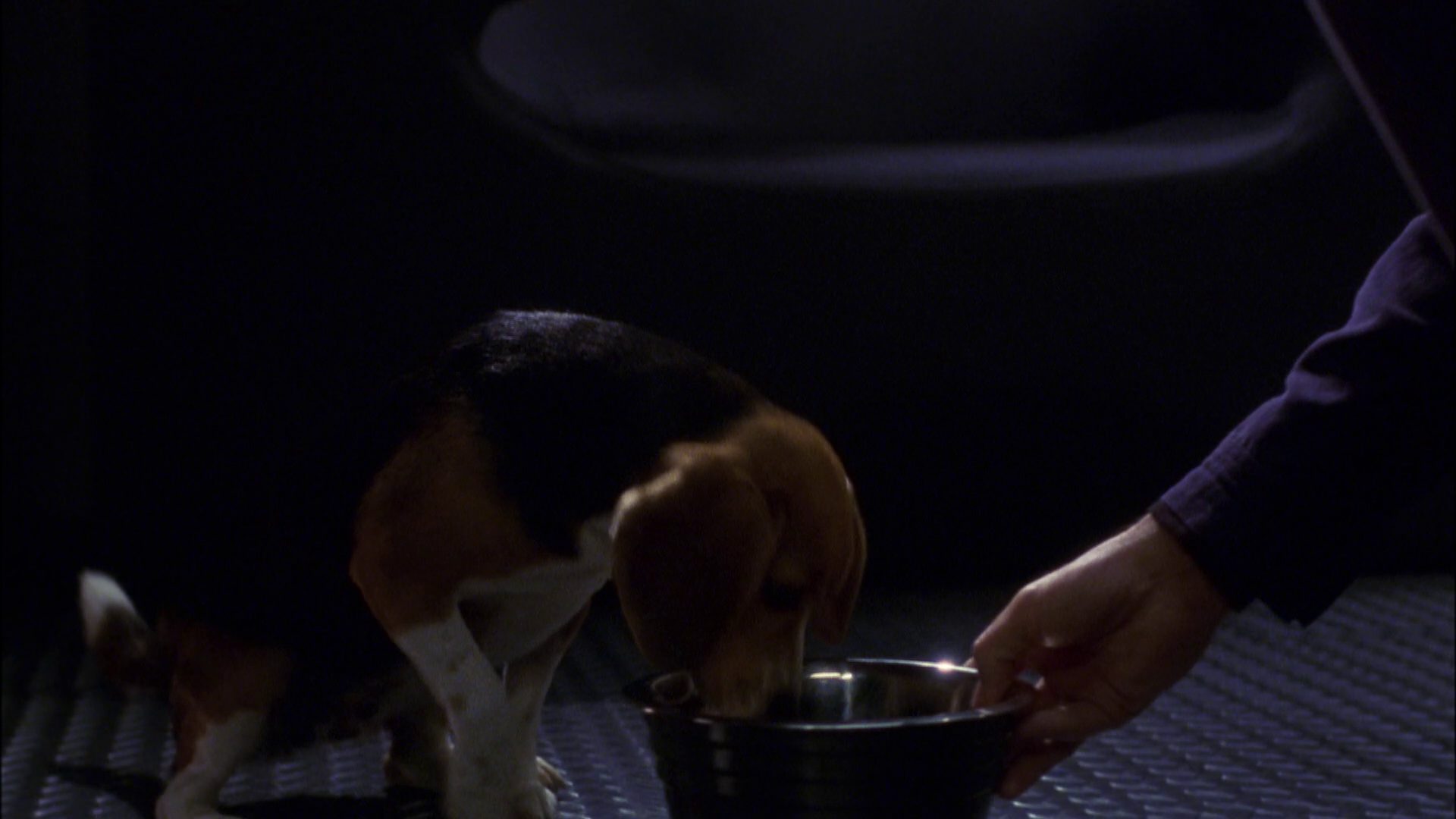 extant_StarTrek_ENT_1x05-Unexpected_0864.jpg