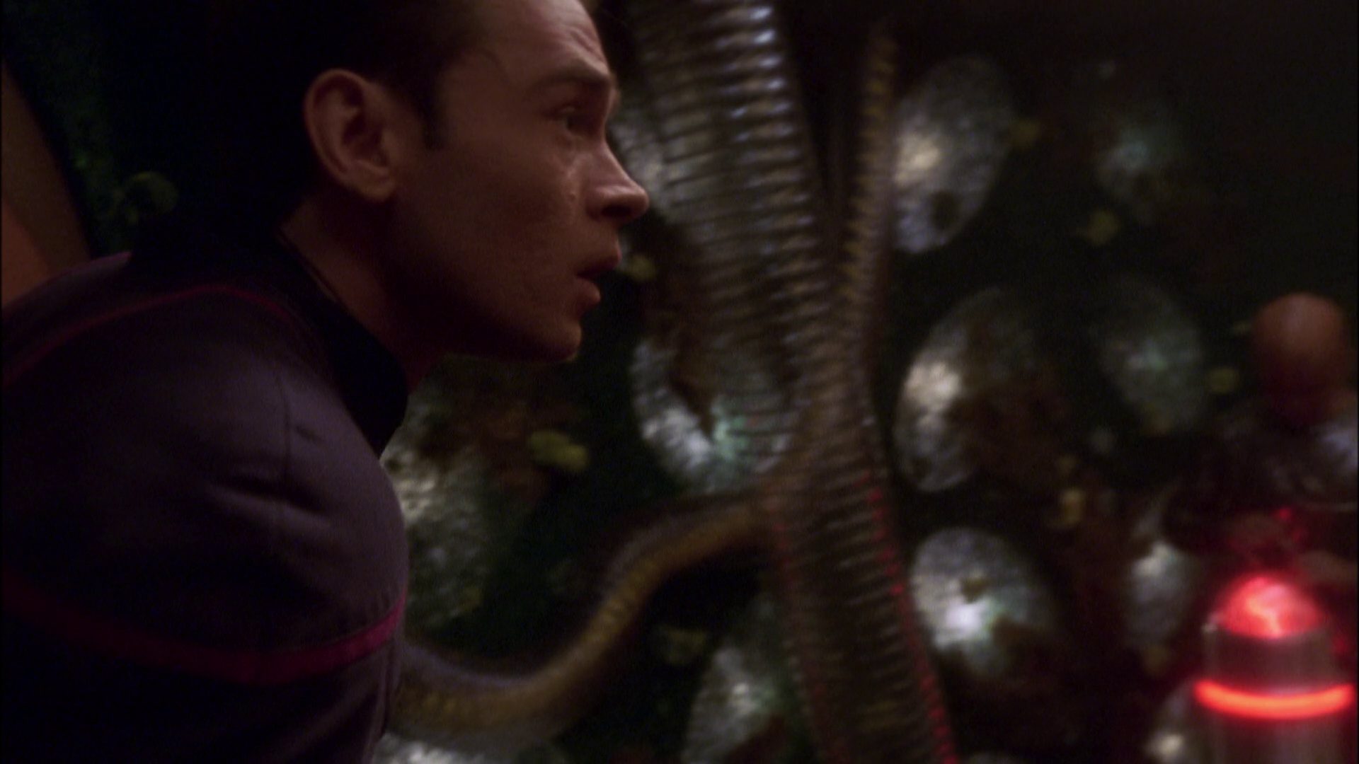 extant_StarTrek_ENT_1x05-Unexpected_0912.jpg