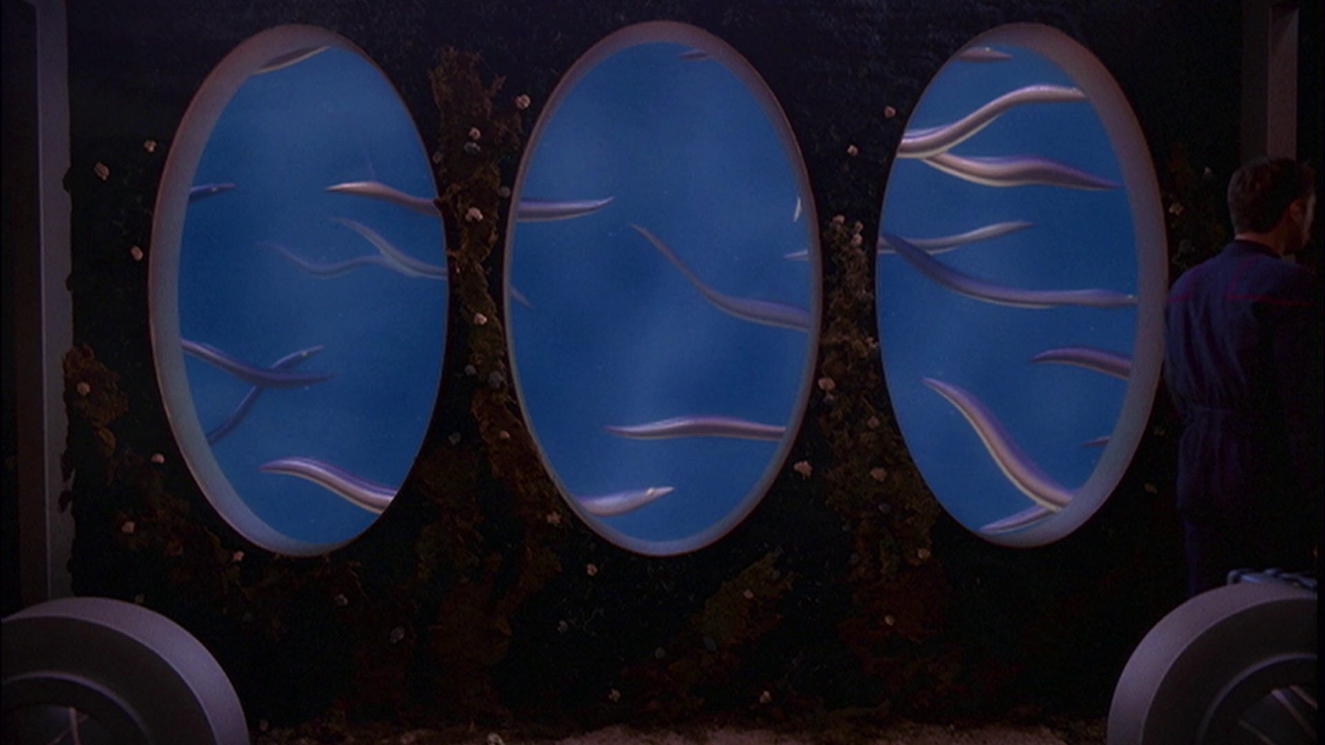extant_StarTrek_ENT_1x05-Unexpected_1006.jpg