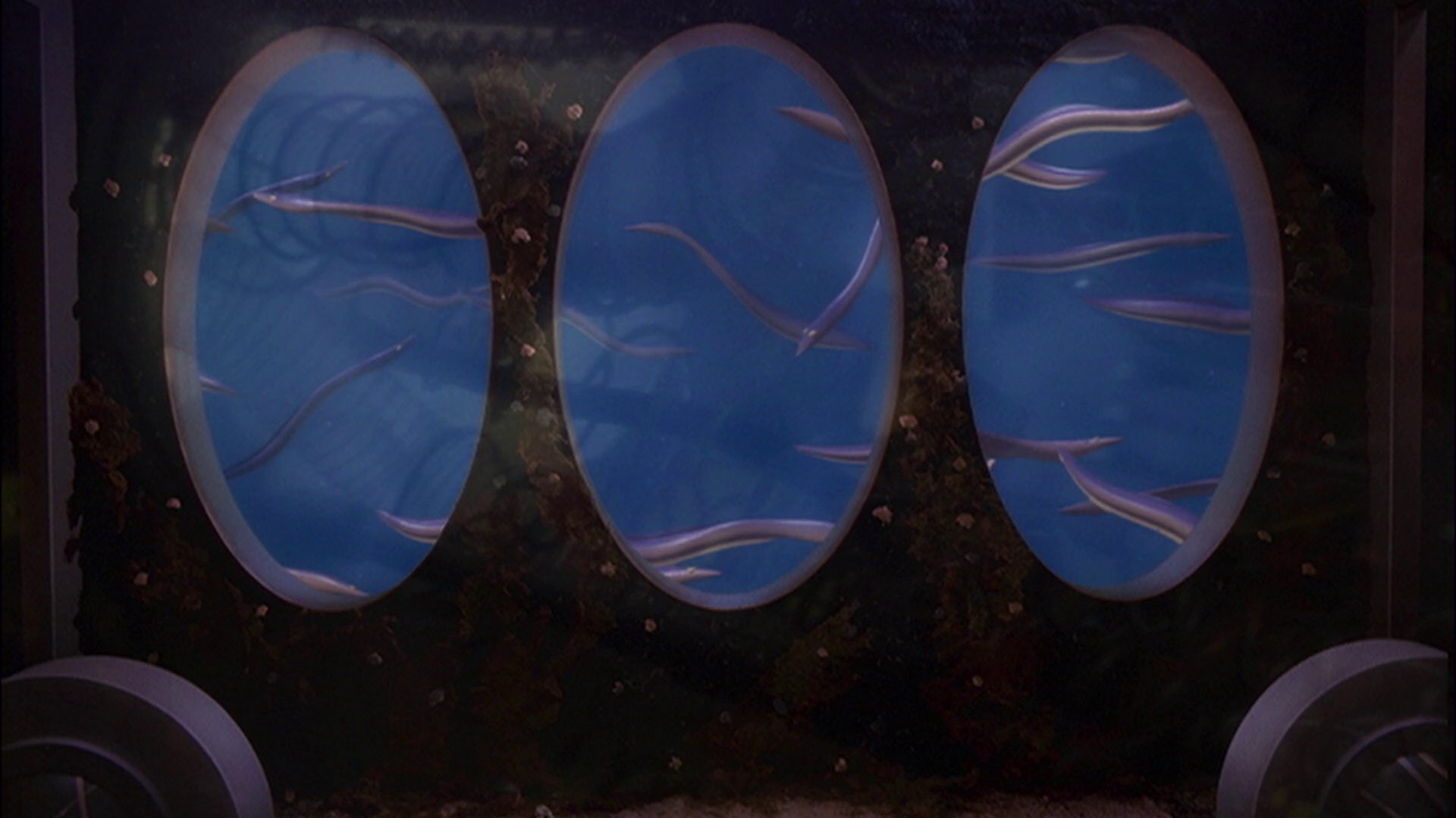 extant_StarTrek_ENT_1x05-Unexpected_1007.jpg