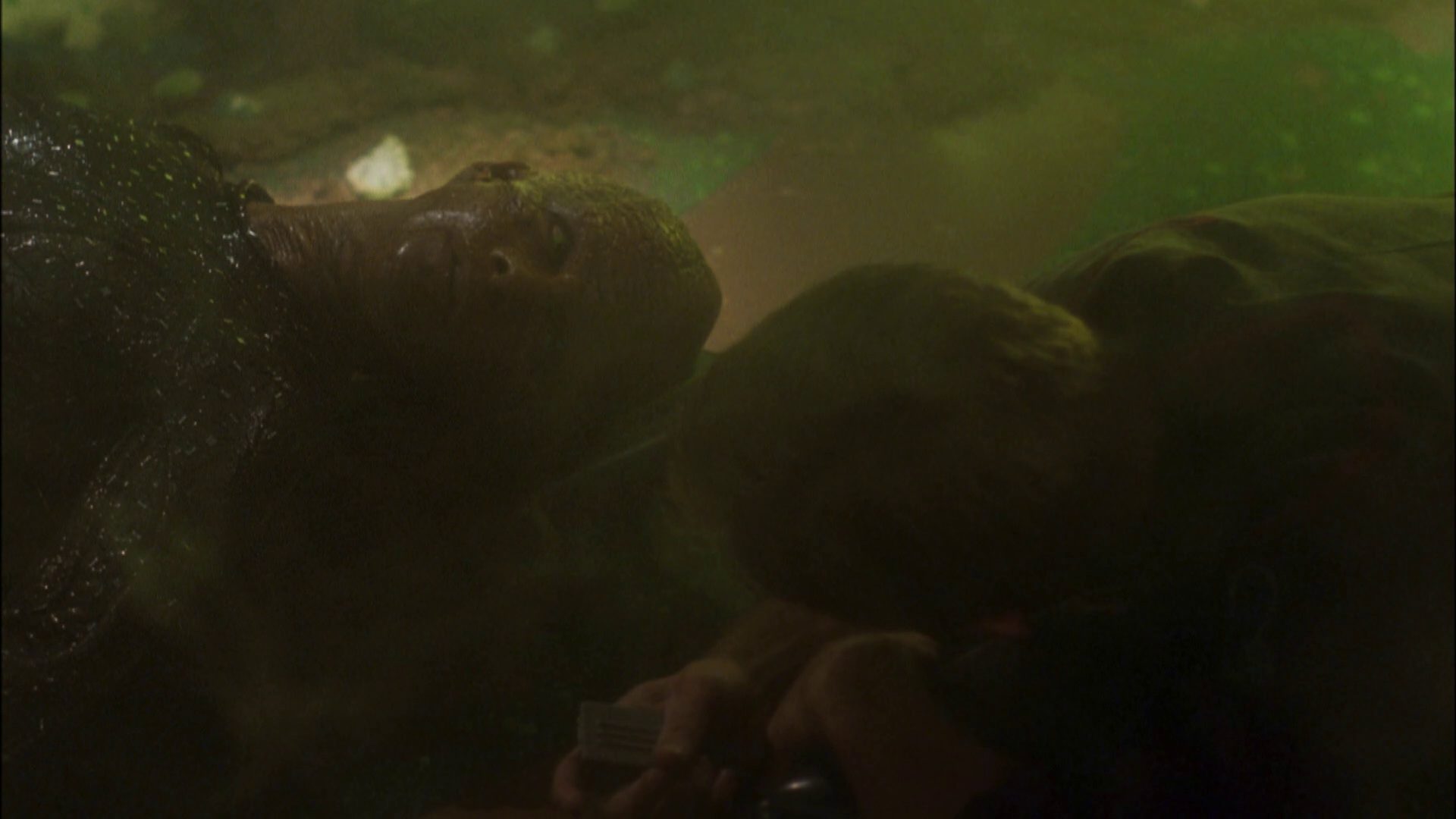 extant_StarTrek_ENT_1x05-Unexpected_1217.jpg