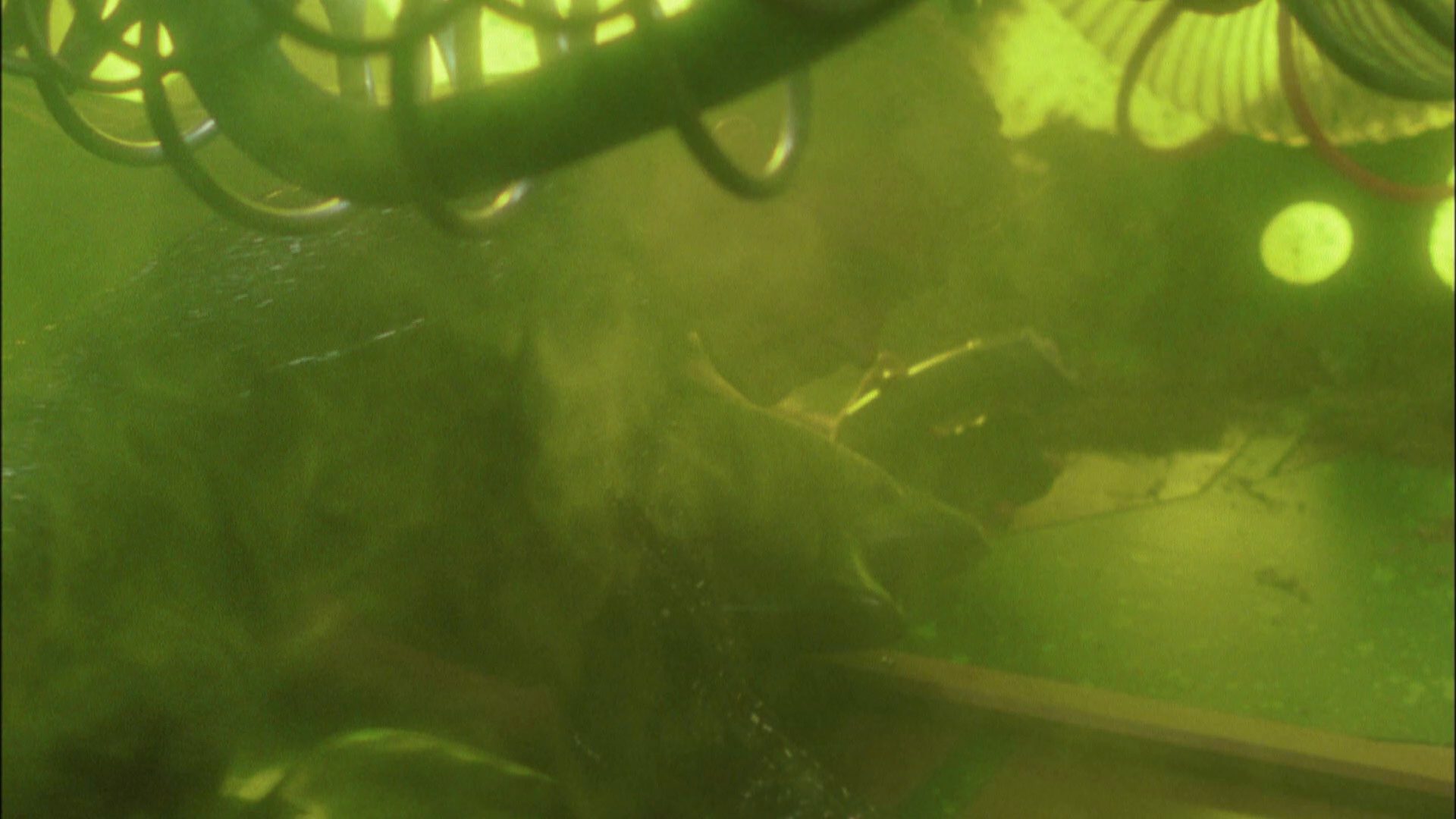 extant_StarTrek_ENT_1x05-Unexpected_1225.jpg