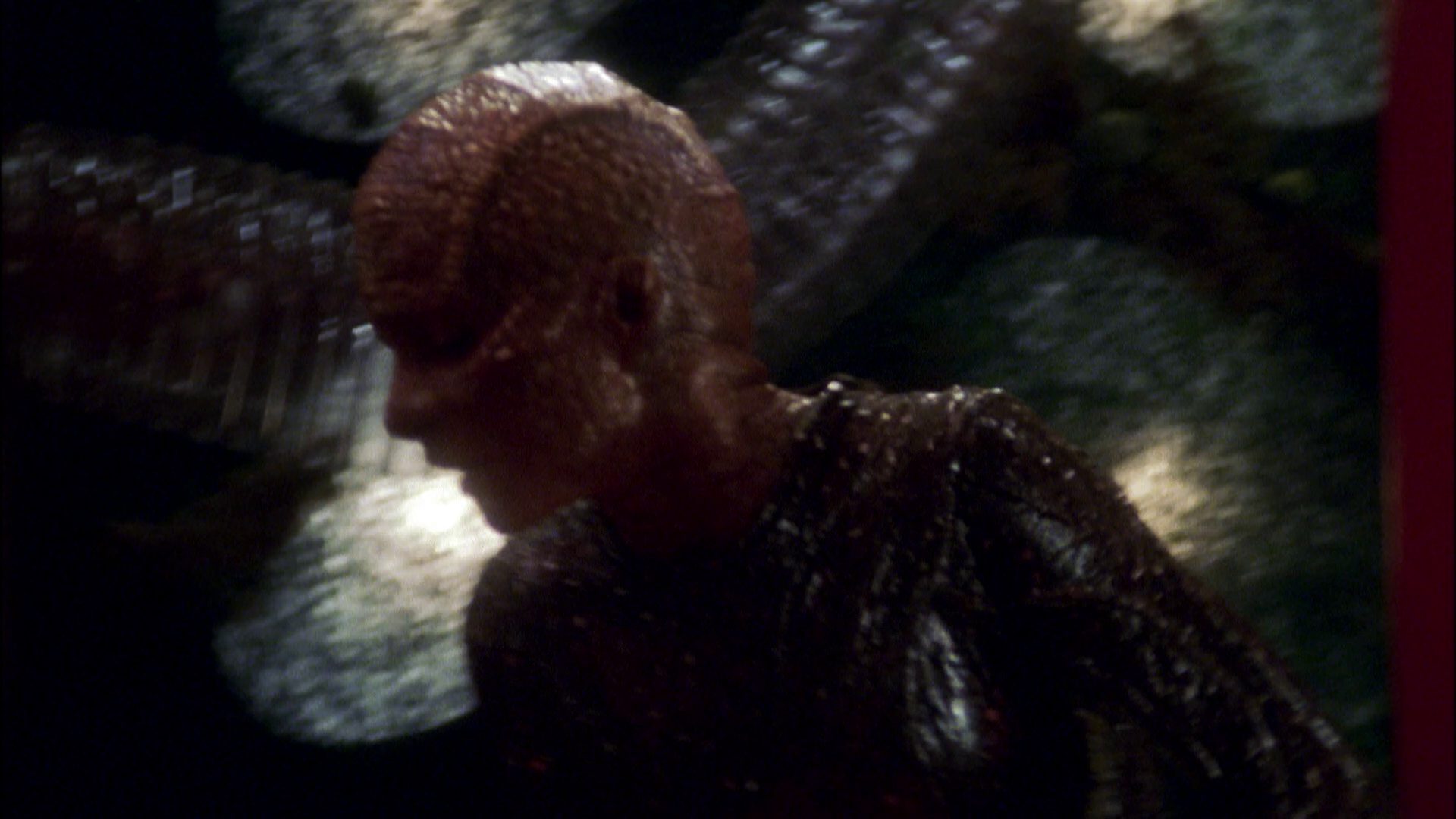 extant_StarTrek_ENT_1x05-Unexpected_1284.jpg