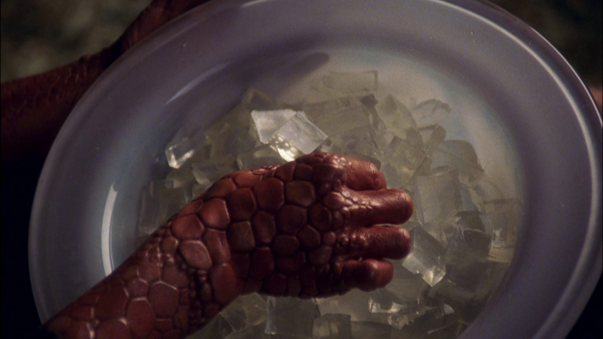 extant_StarTrek_ENT_1x05-Unexpected_1311.jpg
