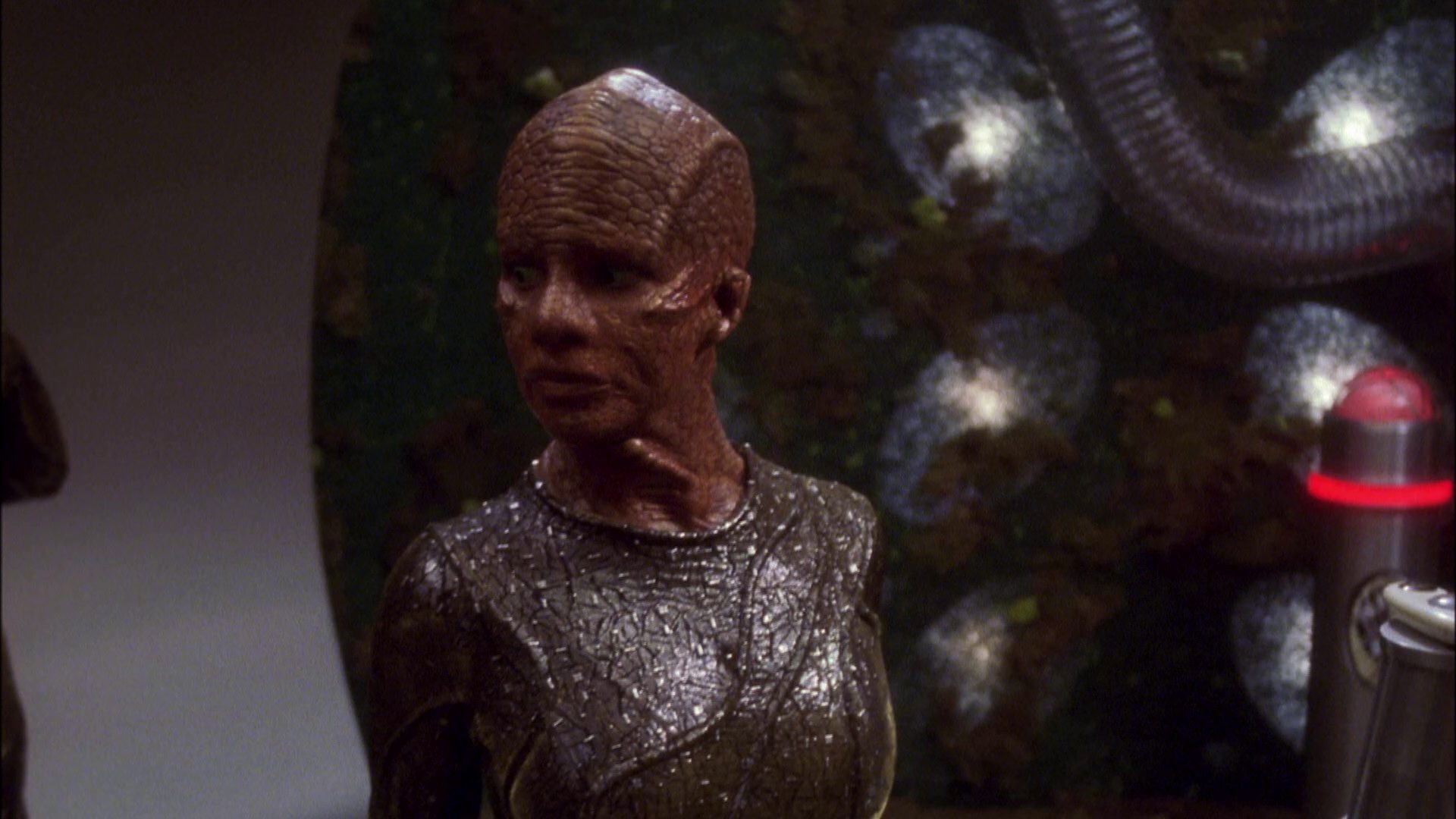 extant_StarTrek_ENT_1x05-Unexpected_3432.jpg