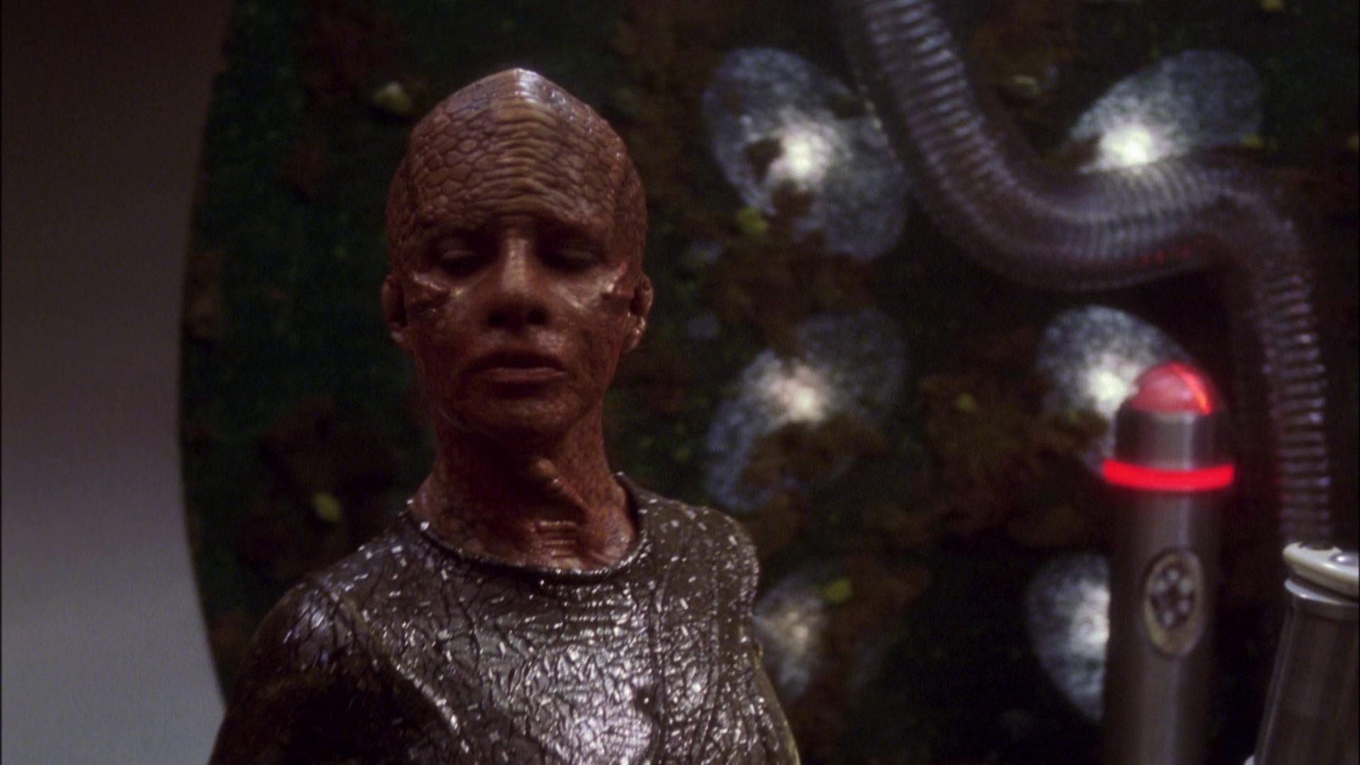extant_StarTrek_ENT_1x05-Unexpected_3433.jpg