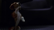 Filename=extant_StarTrek_ENT_1x05-Unexpected_0858.jpg
Filesize=101KiB
Dimensions=1920x1080
Date added=May 17, 2020 extant_StarTrek_ENT_1x05-Unexpected_0858.jpg