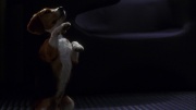 Filename=extant_StarTrek_ENT_1x05-Unexpected_0859.jpg
Filesize=102KiB
Dimensions=1920x1080
Date added=May 17, 2020 extant_StarTrek_ENT_1x05-Unexpected_0859.jpg