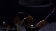 Filename=extant_StarTrek_ENT_1x05-Unexpected_0864.jpg
Filesize=107KiB
Dimensions=1920x1080
Date added=May 17, 2020 extant_StarTrek_ENT_1x05-Unexpected_0864.jpg