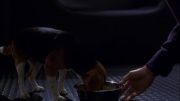 Filename=extant_StarTrek_ENT_1x05-Unexpected_0865.jpg
Filesize=114KiB
Dimensions=1920x1080
Date added=May 17, 2020 extant_StarTrek_ENT_1x05-Unexpected_0865.jpg