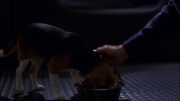 Filename=extant_StarTrek_ENT_1x05-Unexpected_0866.jpg
Filesize=120KiB
Dimensions=1920x1080
Date added=May 17, 2020 extant_StarTrek_ENT_1x05-Unexpected_0866.jpg