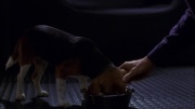 Filename=extant_StarTrek_ENT_1x05-Unexpected_0867.jpg
Filesize=122KiB
Dimensions=1920x1080
Date added=May 17, 2020 extant_StarTrek_ENT_1x05-Unexpected_0867.jpg