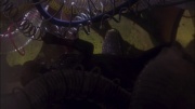 Filename=extant_StarTrek_ENT_1x05-Unexpected_1019.jpg
Filesize=117KiB
Dimensions=1920x1080
Date added=May 17, 2020 extant_StarTrek_ENT_1x05-Unexpected_1019.jpg