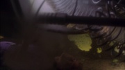 Filename=extant_StarTrek_ENT_1x05-Unexpected_1029.jpg
Filesize=104KiB
Dimensions=1920x1080
Date added=May 17, 2020 extant_StarTrek_ENT_1x05-Unexpected_1029.jpg