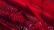 Filename=extant_StarTrek_ENT_1x05-Unexpected_1033.jpg
Filesize=110KiB
Dimensions=1920x1080
Date added=May 17, 2020 extant_StarTrek_ENT_1x05-Unexpected_1033.jpg
