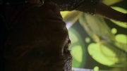 Filename=extant_StarTrek_ENT_1x05-Unexpected_1062.jpg
Filesize=169KiB
Dimensions=1920x1080
Date added=May 17, 2020 extant_StarTrek_ENT_1x05-Unexpected_1062.jpg