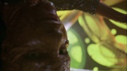 Filename=extant_StarTrek_ENT_1x05-Unexpected_1064.jpg
Filesize=161KiB
Dimensions=1920x1080
Date added=May 17, 2020 extant_StarTrek_ENT_1x05-Unexpected_1064.jpg